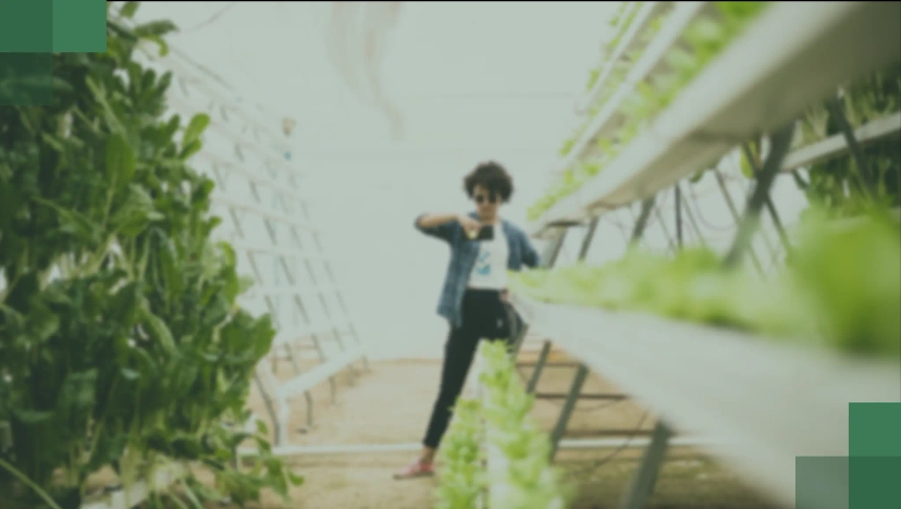 compressed_gbf_backdrop_ea4576077b